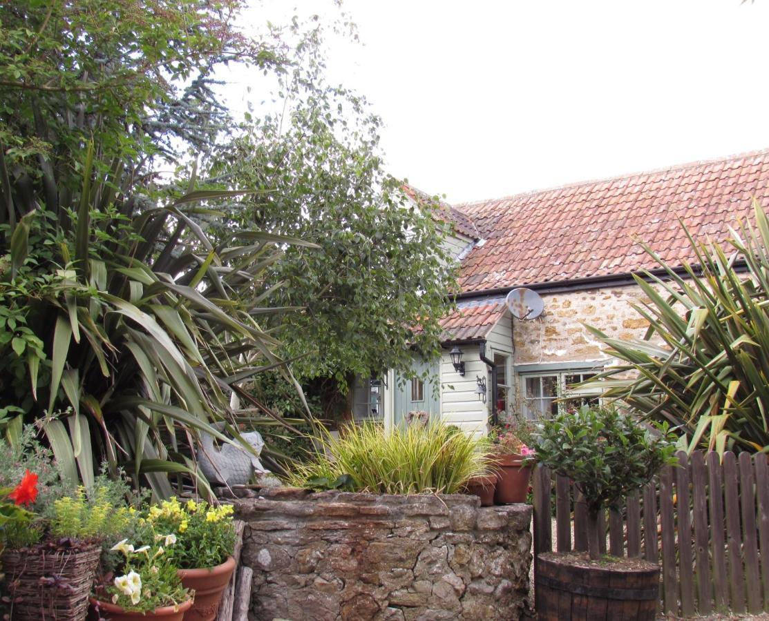 Chiddy Nook Cottage Chideock Exterior photo