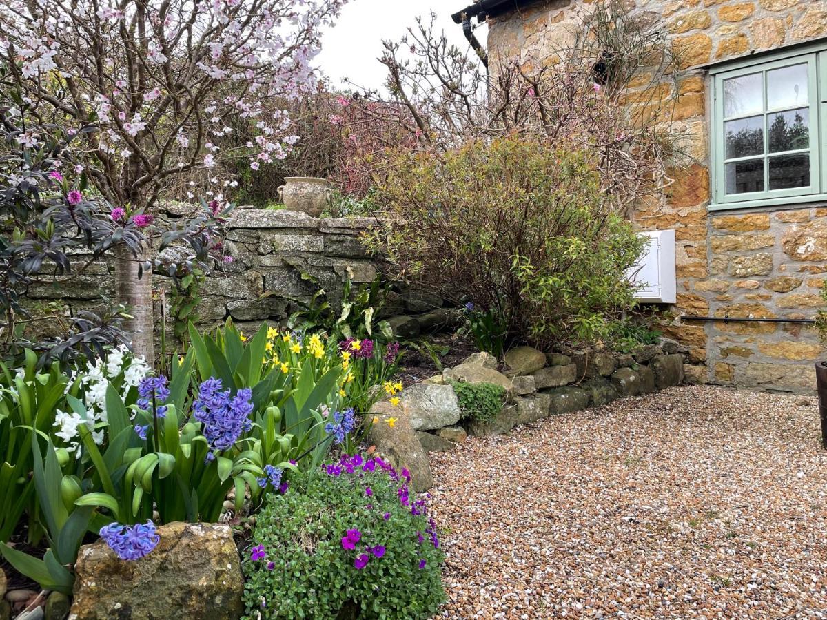 Chiddy Nook Cottage Chideock Exterior photo
